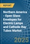 Northern America - Open Glass Envelopes for Electric Lamps and Cathode-Ray Tubes - Market Analysis, forecast, Size, Trends and Insights - Product Thumbnail Image