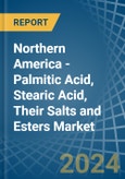 Northern America - Palmitic Acid, Stearic Acid, Their Salts and Esters - Market Analysis, Forecast, Size, Trends and Insights- Product Image
