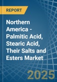 Northern America - Palmitic Acid, Stearic Acid, Their Salts and Esters - Market Analysis, Forecast, Size, Trends and Insights- Product Image