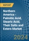 Northern America - Palmitic Acid, Stearic Acid, Their Salts and Esters - Market Analysis, Forecast, Size, Trends and Insights - Product Image