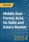 Middle East - Formic Acid, Its Salts and Esters - Market Analysis, Forecast, Size, Trends and Insights - Product Thumbnail Image
