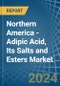 Northern America - Adipic Acid, Its Salts and Esters - Market Analysis, Forecast, Size, Trends and Insights - Product Image