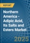 Northern America - Adipic Acid, Its Salts and Esters - Market Analysis, Forecast, Size, Trends and Insights - Product Thumbnail Image