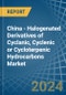 China - Halogenated Derivatives of Cyclanic, Cyclenic or Cycloterpenic Hydrocarbons - Market Analysis, Forecast, Size, Trends and Insights - Product Thumbnail Image
