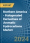 Northern America - Halogenated Derivatives of Aromatic Hydrocarbons - Market Analysis, Forecast, Size, Trends and Insights - Product Thumbnail Image