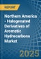 Northern America - Halogenated Derivatives of Aromatic Hydrocarbons - Market Analysis, Forecast, Size, Trends and Insights - Product Image