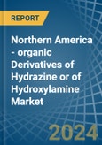 Northern America - organic Derivatives of Hydrazine or of Hydroxylamine - Market Analysis, Forecast, Size, Trends and Insights- Product Image