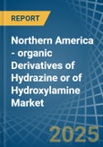 Northern America - organic Derivatives of Hydrazine or of Hydroxylamine - Market Analysis, Forecast, Size, Trends and Insights- Product Image