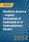 Northern America - organic Derivatives of Hydrazine or of Hydroxylamine - Market Analysis, Forecast, Size, Trends and Insights - Product Thumbnail Image
