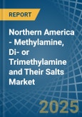 Northern America - Methylamine, Di- or Trimethylamine and Their Salts - Market Analysis, Forecast, Size, Trends and Insights- Product Image