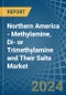 Northern America - Methylamine, Di- or Trimethylamine and Their Salts - Market Analysis, Forecast, Size, Trends and Insights - Product Image