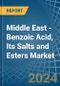 Middle East - Benzoic Acid, Its Salts and Esters - Market Analysis, Forecast, Size, Trends and Insights - Product Thumbnail Image