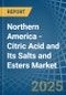Northern America - Citric Acid and Its Salts and Esters - Market Analysis, Forecast, Size, Trends and Insights - Product Thumbnail Image
