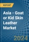 Asia - Goat or Kid Skin Leather - Market Analysis, Forecast, Size, Trends and Insights - Product Image