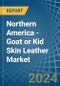 Northern America - Goat or Kid Skin Leather - Market Analysis, Forecast, Size, Trends and Insights - Product Thumbnail Image