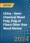 China - Semi-Chemical Wood Pulp, Pulp of Fibers Other than Wood - Market Analysis, Forecast, Size, Trends and Insights - Product Image