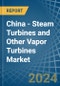China - Steam Turbines and Other Vapor Turbines - Market Analysis, Forecast, Size, Trends and Insights - Product Image