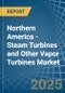 Northern America - Steam Turbines and Other Vapor Turbines - Market Analysis, Forecast, Size, Trends and Insights - Product Image