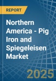 Northern America - Pig Iron and Spiegeleisen - Market Analysis, Forecast, Size, Trends and Insights- Product Image