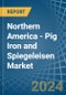 Northern America - Pig Iron and Spiegeleisen - Market Analysis, Forecast, Size, Trends and Insights - Product Image