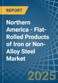 Northern America - Flat-Rolled Products of Iron or Non-Alloy Steel - Market Analysis, Forecast, Size, Trends and Insights- Product Image