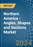 Northern America - Angles, Shapes and Sections (of Iron or Non-Alloy Steel) - Market Analysis, Forecast, Size, Trends and Insights- Product Image
