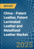 China - Patent Leather, Patent Laminated Leather and Metallised Leather - Market Analysis, Forecast, Size, Trends and Insights- Product Image
