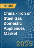 China - Iron or Steel Gas Domestic Appliances - Market Analysis, Forecast, Size, Trends and Insights- Product Image