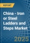 China - Iron or Steel Ladders and Steps - Market Analysis, Forecast, Size, Trends and Insights - Product Thumbnail Image