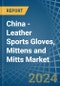 China - Leather Sports Gloves, Mittens and Mitts - Market Analysis, Forecast, Size, Trends and Insights - Product Thumbnail Image