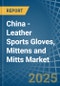 China - Leather Sports Gloves, Mittens and Mitts - Market Analysis, Forecast, Size, Trends and Insights - Product Thumbnail Image