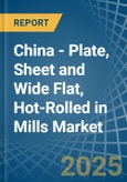 China - Plate, Sheet and Wide Flat, Hot-Rolled in Mills - Market Analysis, Forecast, Size, Trends and insights- Product Image