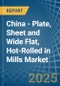 China - Plate, Sheet and Wide Flat, Hot-Rolled in Mills - Market Analysis, Forecast, Size, Trends and insights - Product Thumbnail Image