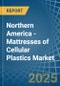 Northern America - Mattresses of Cellular Plastics - Market Analysis, Forecast, Size, Trends and Insights - Product Thumbnail Image