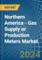Northern America - Gas Supply or Production Meters - Market Analysis, Forecast, Size, Trends and Insights - Product Image