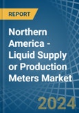Northern America - Liquid Supply or Production Meters - Market Analysis, Forecast, Size, Trends and Insights- Product Image