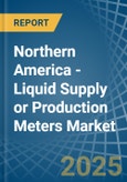 Northern America - Liquid Supply or Production Meters - Market Analysis, Forecast, Size, Trends and Insights- Product Image