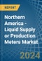 Northern America - Liquid Supply or Production Meters - Market Analysis, Forecast, Size, Trends and Insights - Product Thumbnail Image