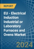 EU - Electrical Induction Industrial or Laboratory Furnaces and Ovens - Market Analysis, Forecast, Size, Trends and Insights- Product Image