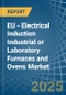 EU - Electrical Induction Industrial or Laboratory Furnaces and Ovens - Market Analysis, Forecast, Size, Trends and Insights - Product Thumbnail Image