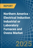 Northern America - Electrical Induction Industrial or Laboratory Furnaces and Ovens - Market Analysis, Forecast, Size, Trends and Insights- Product Image