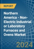 Northern America - Non-Electric Industrial or Laboratory Furnaces and Ovens - Market Analysis, Forecast, Size, Trends and Insights- Product Image