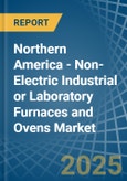 Northern America - Non-Electric Industrial or Laboratory Furnaces and Ovens - Market Analysis, Forecast, Size, Trends and Insights- Product Image