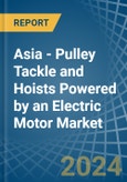 Asia - Pulley Tackle and Hoists Powered by an Electric Motor - Market analysis, Forecast, Size, Trends and Insights- Product Image