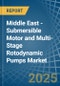 Middle East - Submersible Motor and Multi-Stage Rotodynamic Pumps - Market Analysis, Forecast, Size, Trends and Insights - Product Thumbnail Image