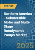 Northern America - Submersible Motor and Multi-Stage Rotodynamic Pumps - Market Analysis, Forecast, Size, Trends and Insights- Product Image