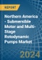 Northern America - Submersible Motor and Multi-Stage Rotodynamic Pumps - Market Analysis, Forecast, Size, Trends and Insights - Product Image