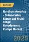 Northern America - Submersible Motor and Multi-Stage Rotodynamic Pumps - Market Analysis, Forecast, Size, Trends and Insights - Product Image