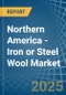Northern America - Iron or Steel Wool - Market Analysis, Forecast, Size, Trends and Insights - Product Thumbnail Image