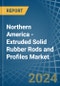 Northern America - Extruded Solid Rubber Rods and Profiles - Market Analysis, Forecast, Size, Trends and Insights - Product Thumbnail Image